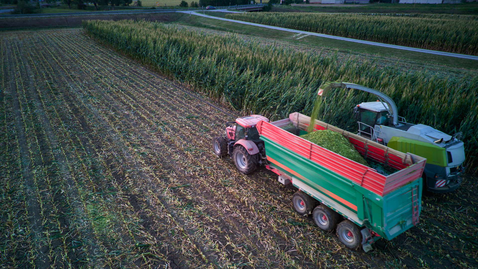 Agriculture commodities 2