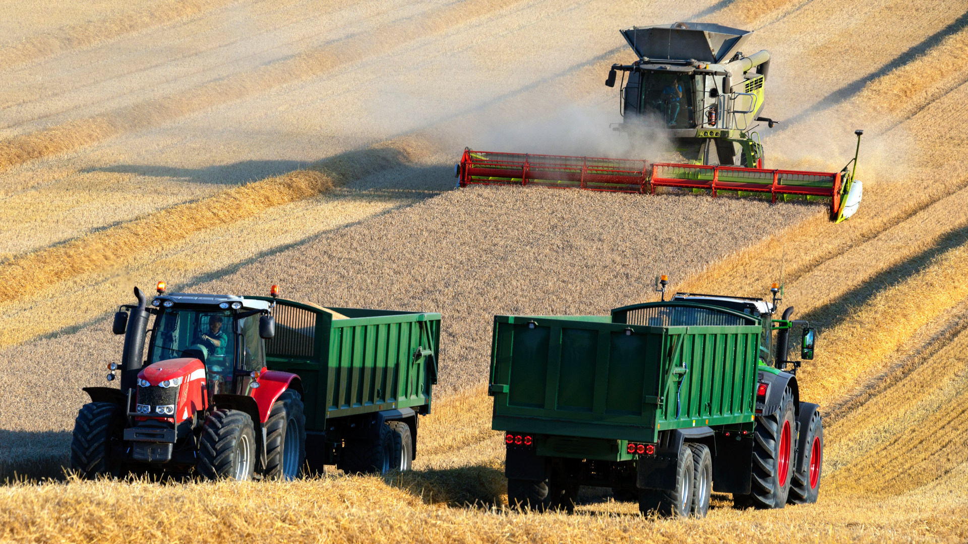 Agriculture commodities